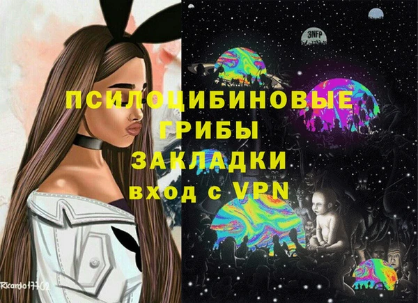 прущие крисы Корсаков