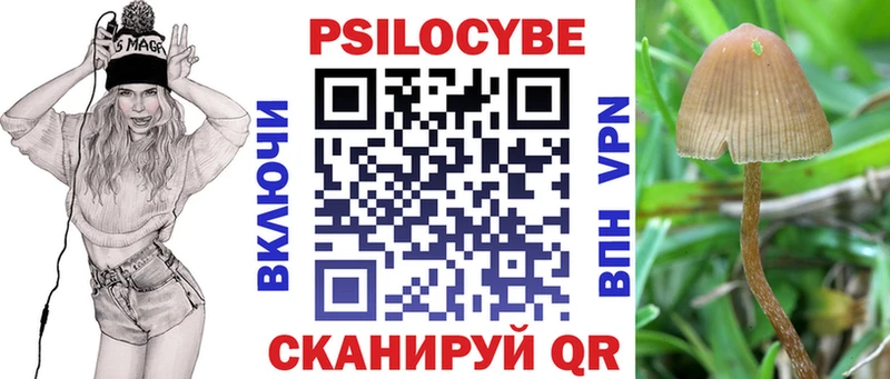 Купить закладки  Калининец  Галлюциногенные грибы мицелий 